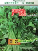 Suntoday herbal leonuri Motherwort Herb yimu cao seeds(A4400